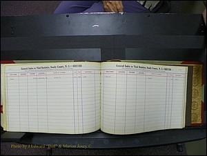 Stanley Co, NC Births, D-E, 1913-1994 (193).JPG