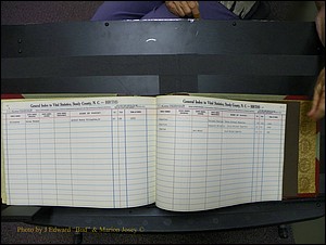 Stanley Co, NC Births, D-E, 1913-1994 (219).JPG