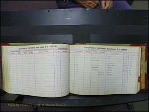 Stanley Co, NC Births, D-E, 1913-1994 (69).JPG