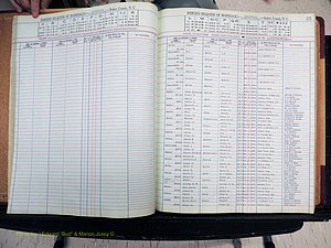 Stokes Co, NC, Marriages, Female Index, A-Z, 1851-1956 (152).JPG