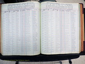 Stokes Co, NC, Marriages, Female Index, A-Z, 1851-1956 (193).JPG