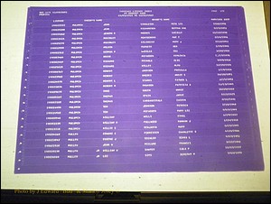 Sumter Marriages Male Index, L-Z, 1911-1967 178.JPG