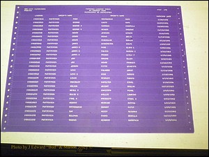 Sumter Marriages Male Index, L-Z, 1911-1967 231.JPG