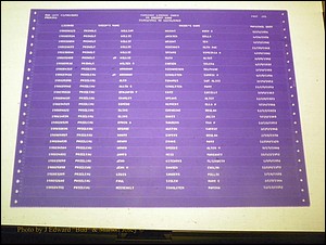Sumter Marriages Male Index, L-Z, 1911-1967 282.JPG