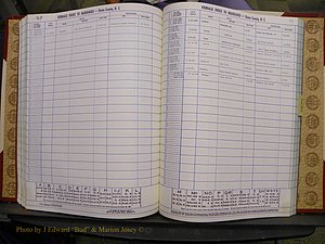 Union Co, NC Marriages Female Index, A-Z, 1980-1993 (169).JPG