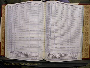 Union Co, NC Marriages Female Index, A-Z, 1980-1993 (181).JPG