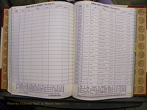 Union Co, NC Marriages Female Index, A-Z, 1980-1993 (186).JPG