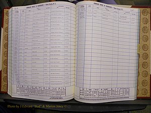 Union Co, NC Marriages Female Index, A-Z, 1980-1993 (188).JPG