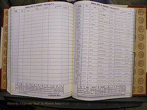 Union Co, NC Marriages Female Index, A-Z, 1980-1993 (196).JPG