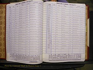 Union Co, NC Marriages Female Index, A-Z, 1980-1993 (27).JPG