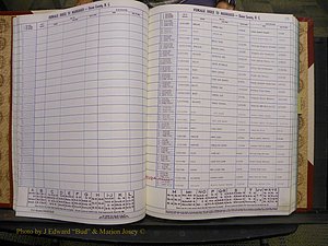 Union Co, NC Marriages Female Index, A-Z, 1980-1993 (55).JPG