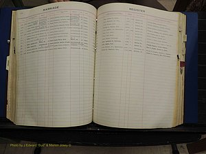 Warren Co, NC, Marriages, H-P, 1867-1978 (204).JPG