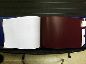 Yadkin Co, NC, Marriages, Male & Female, 1996-2012 (179) .JPG