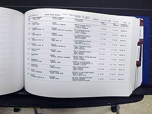 Yadkin Co, NC, Marriages, Male & Female, 1996-2012 (198) .JPG