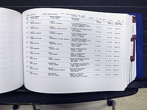 Yadkin Co, NC, Marriages, Male & Female, 1996-2012 (221) .JPG