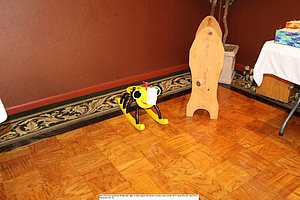 2013 Josey Reunion, Henderson Co, NC   (202).JPG