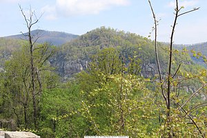 2013 Josey Reunion, Henderson Co, NC, Chimney Rock and Lake Lure (291).JPG