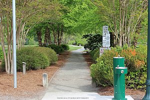 2013 Josey Reunion, Henderson Co, NC, Chimney Rock and Lake Lure (322).JPG