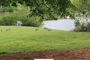 2013 Josey Reunion, Henderson Co, NC, Chimney Rock and Lake Lure (325).JPG