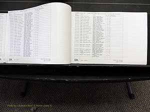 Alamance Co, NC, Births, A-Z, 2005-2012 (166).JPG