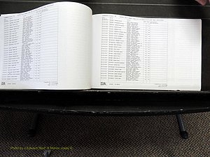Alamance Co, NC, Births, A-Z, 2005-2012 (213).JPG