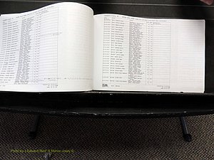 Alamance Co, NC, Births, A-Z, 2005-2012 (220).JPG