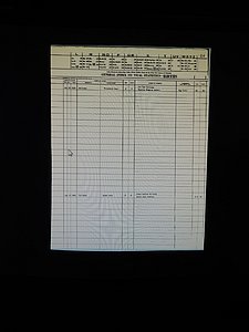 Alleghany Co, NC, Births 141.JPG