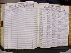 Anson Co, NC, Marriage Book 5 (183).JPG