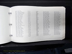 Caldwell Co, NC, Births, Out of County (226).JPG