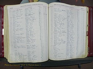 Cleveland Co, NC, Births, A-Z, 1916-1931 (248).JPG