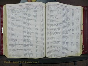 Cleveland Co, NC, Births, A-Z, 1916-1931 (253).JPG