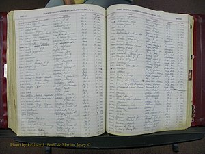 Cleveland Co, NC, Births, A-Z, 1916-1931 (255).JPG