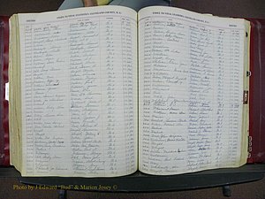 Cleveland Co, NC, Births, A-Z, 1916-1931 (269).JPG