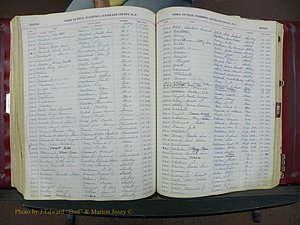 Cleveland Co, NC, Births, A-Z, 1916-1931 (271).JPG