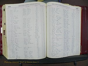 Cleveland Co, NC, Births, A-Z, 1916-1931 (368).JPG