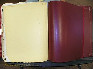Cleveland Co, NC, Births, A-Z, 1916-1931 (391).JPG