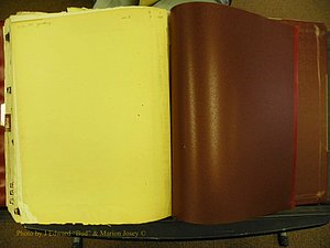 Cleveland Co, NC, Births, A-Z, 1916-1931 (392).JPG