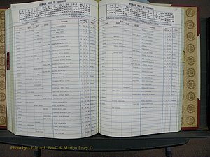 Cleveland Co, NC, Marriages, Male Index, Book 9, 1982+ (102).JPG