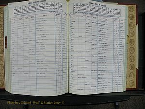 Cleveland Co, NC, Marriages, Male Index, Book 9, 1982+ (96).JPG