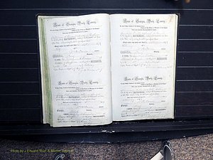 Dooly Co, GA, Marriages, Book B, 1852-1877 Pg 254-255.JPG