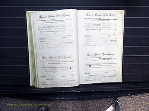 Dooly Co, GA, Marriages, Book B, 1852-1877 Pg 271-272.JPG