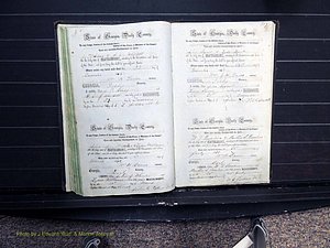 Dooly Co, GA, Marriages, Book B, 1852-1877 Pg 316-317.JPG