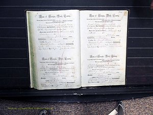 Dooly Co, GA, Marriages, Book B, 1852-1877 Pg 365-366.JPG