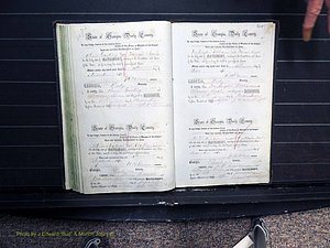 Dooly Co, GA, Marriages, Book B, 1852-1877 Pg 367-368.JPG