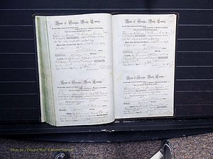 Dooly Co, GA, Marriages, Book B, 1852-1877 Pg 486-487.JPG