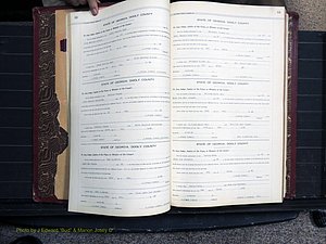 Dooly Co, GA, Marriages, Book, I, 1944-1972 pg 052-053.JPG