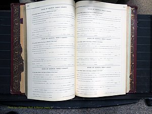 Dooly Co, GA, Marriages, Book, I, 1944-1972 pg 228-229.JPG