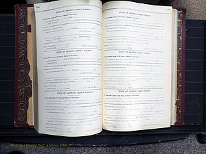 Dooly Co, GA, Marriages, Book, I, 1944-1972 pg 246-247.JPG