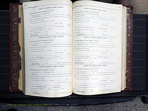 Dooly Co, GA, Marriages, Book, I, 1944-1972 pg 252-253.JPG