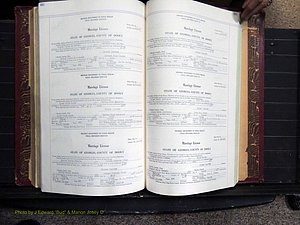 Dooly Co, GA, Marriages, Book, I, 1944-1972 pg 492-493.JPG